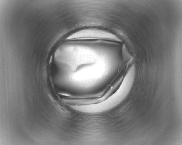 X0000065260676200603172231