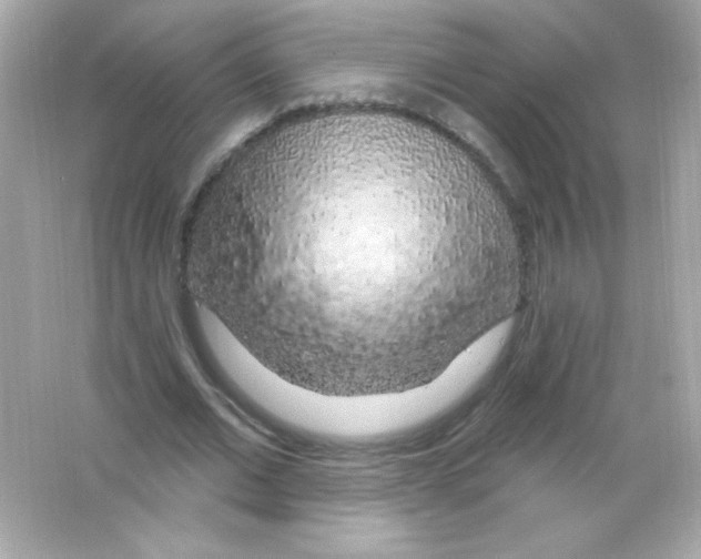 X0000065260677200603172231