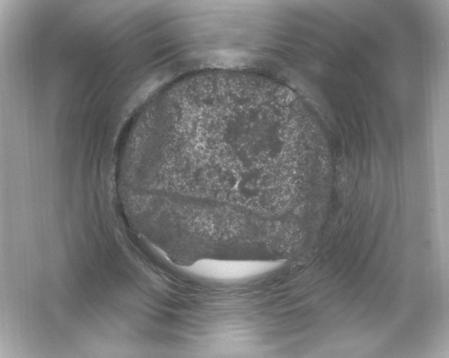 X0000065260679200603172231