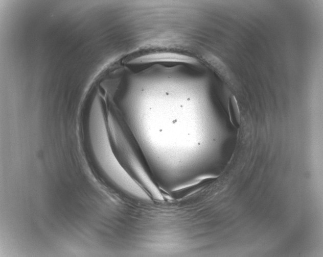 X0000065260680200603172231