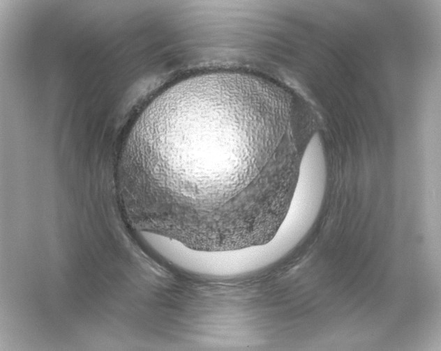 X0000065260681200603172231