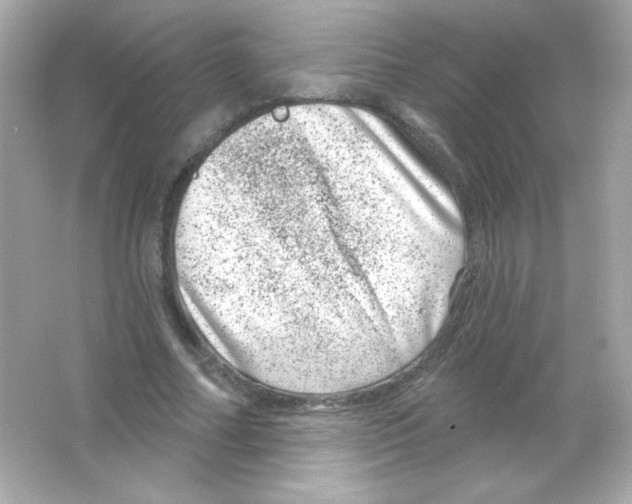 X0000065260682200603172231