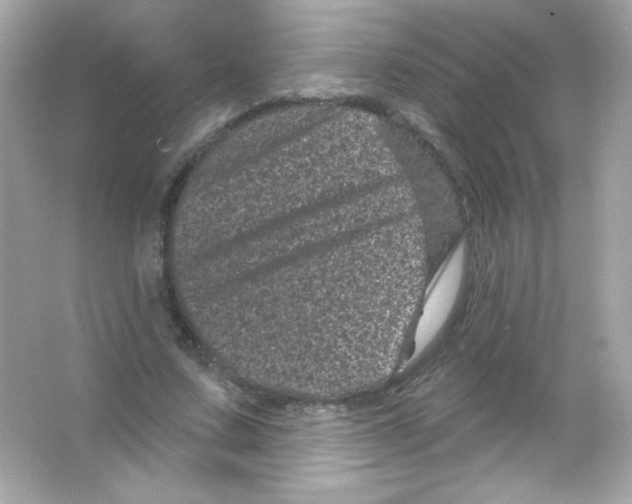 X0000065260683200603172231