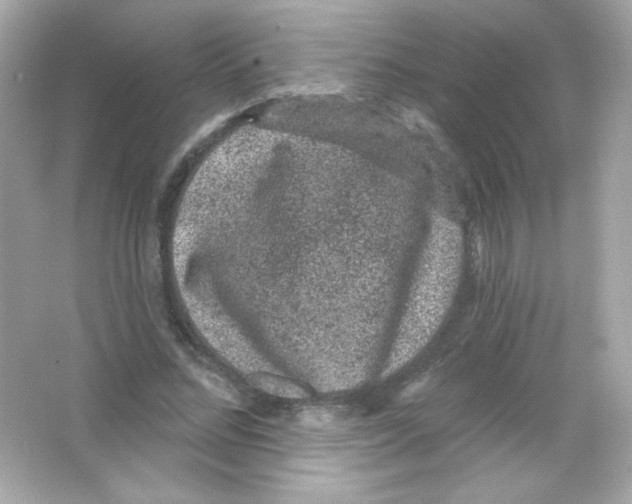 X0000065260684200603172231