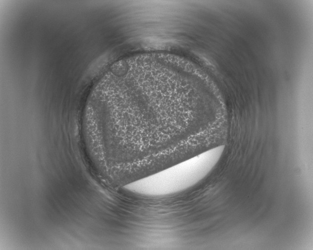 X0000065260687200603172231