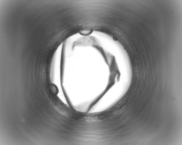 X0000065260690200603172231