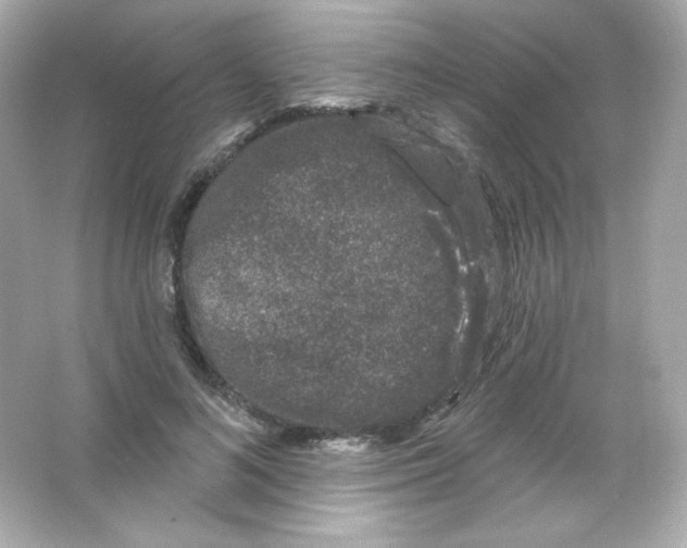 X0000065260692200603172231