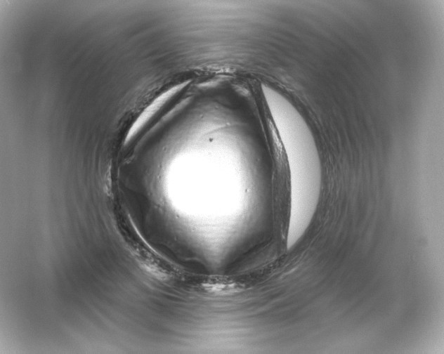 X0000065260693200603172231