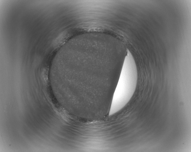 X0000065260695200603172231