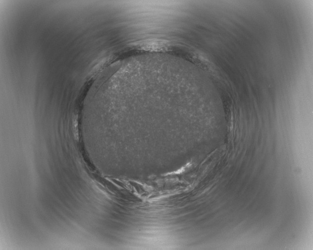 X0000065260696200603172231