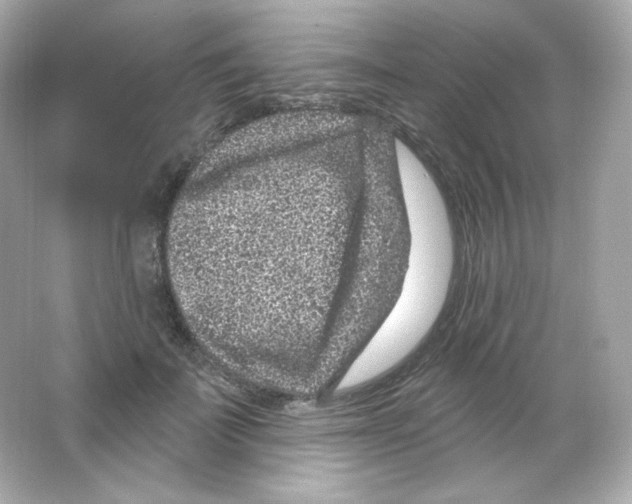 X0000065260699200603172231