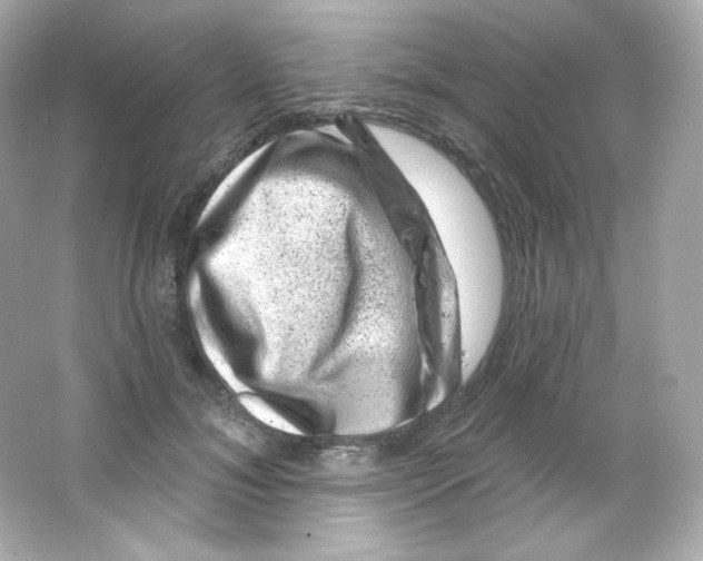 X0000065260700200603172231