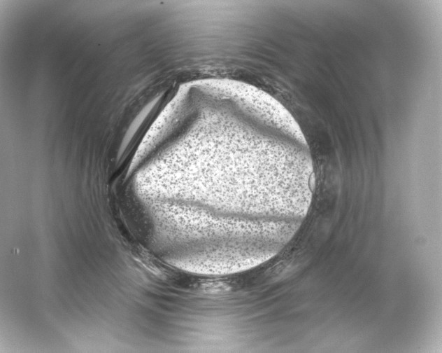 X0000065260702200603172231