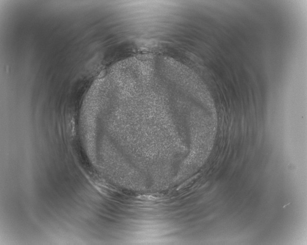 X0000065260703200603172230