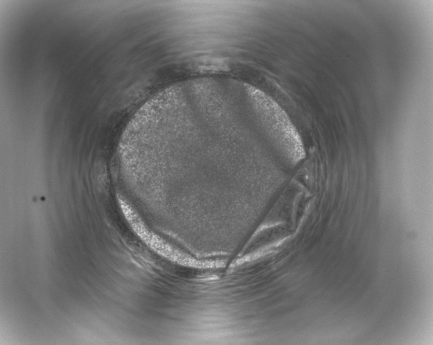 X0000065260704200603172230