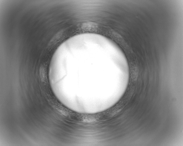 X0000065260705200603172230