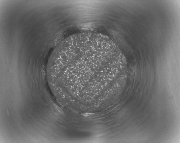 X0000065260707200603172230