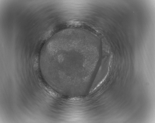 X0000065260708200603172230