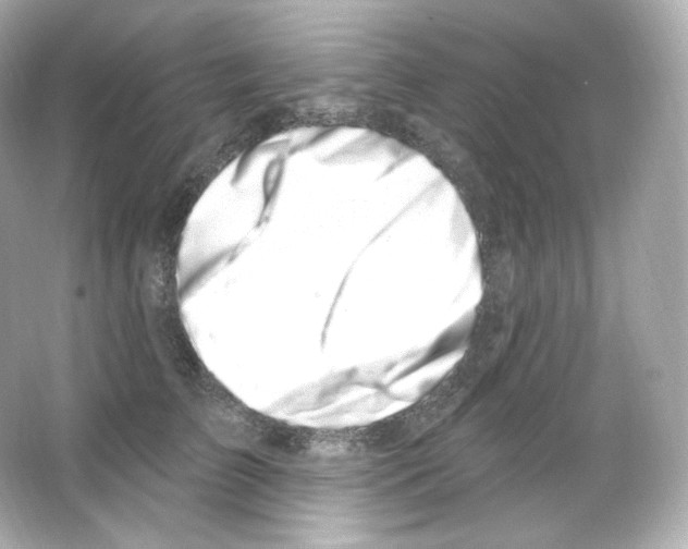 X0000065260709200603172230