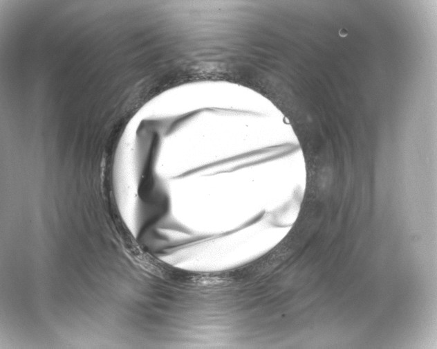 X0000065260710200603172230