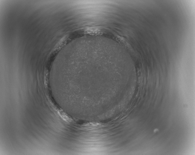 X0000065260712200603172230