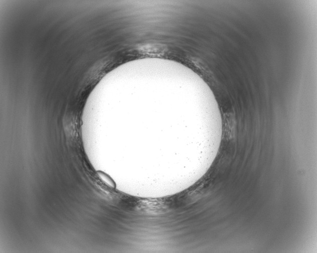 X0000065260713200603172230