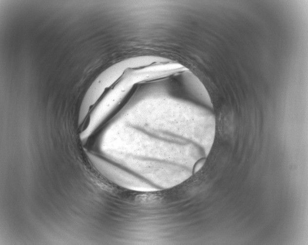 X0000065260714200603172230