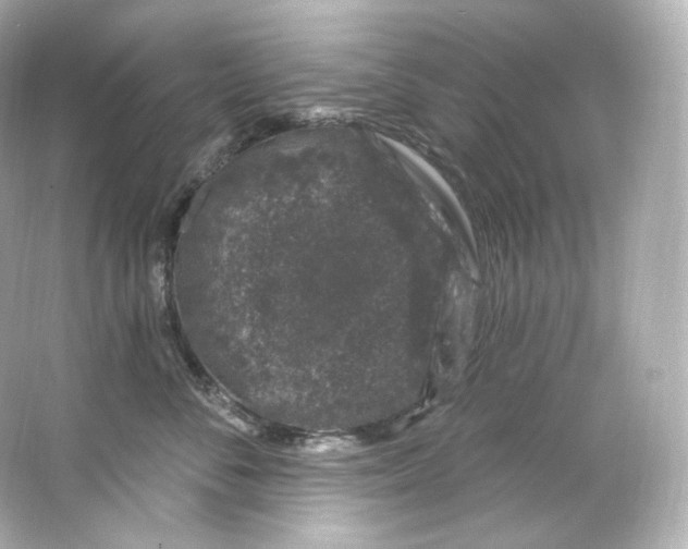 X0000065260716200603172230