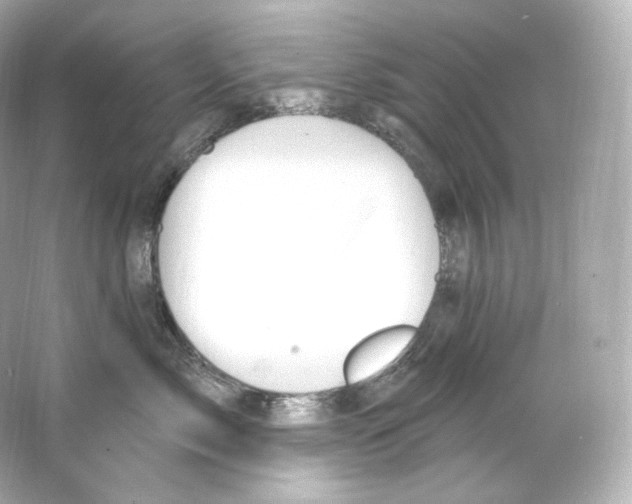 X0000065260717200603172230