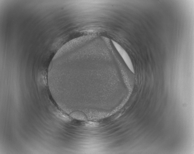 X0000065260718200603172230