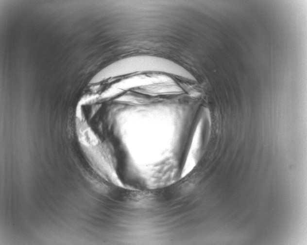 X0000065260719200603172230