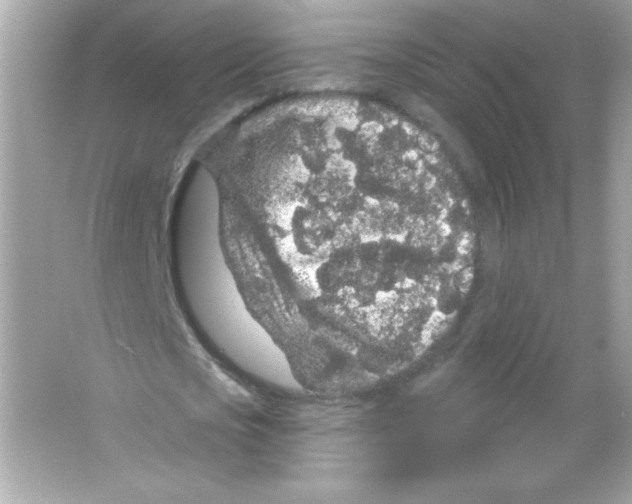 X0000065260721200603172229