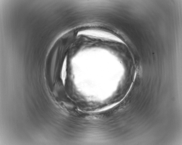 X0000065260724200603172229