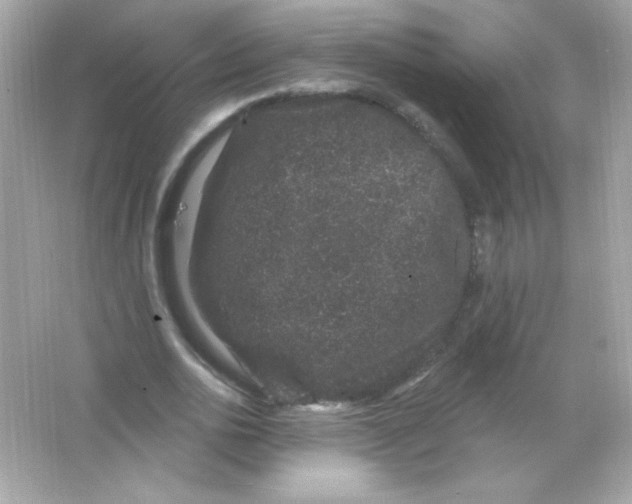 X0000065260726200603172229