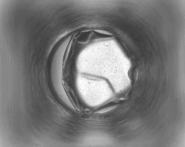 X0000065260727200603172229