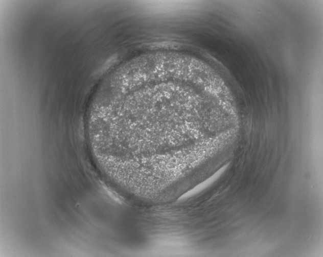 X0000065260729200603172230