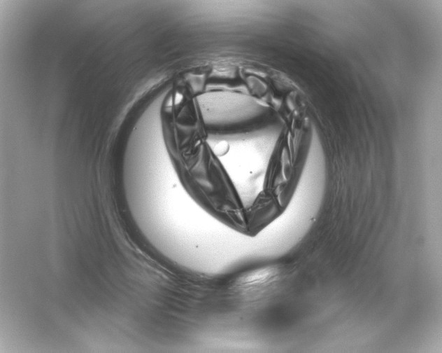 X0000065260731200603172230