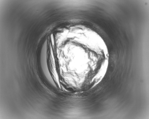 X0000065260734200603172230