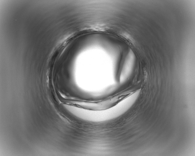 X0000065260736200603172230