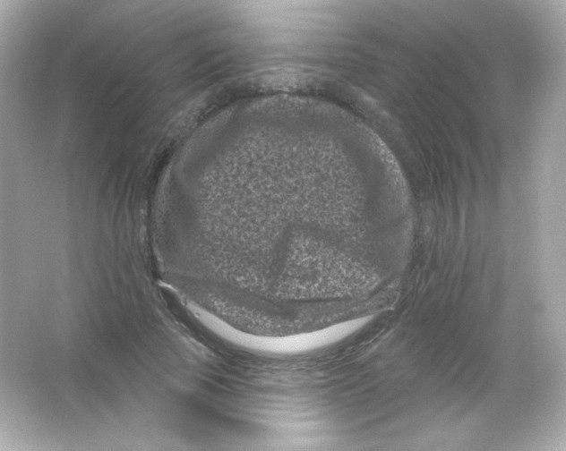 X0000065260737200603172230