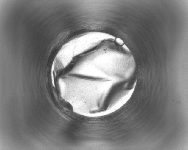 X0000065260738200603172230