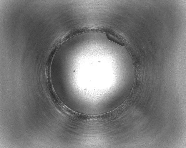 X0000065260740200603172230