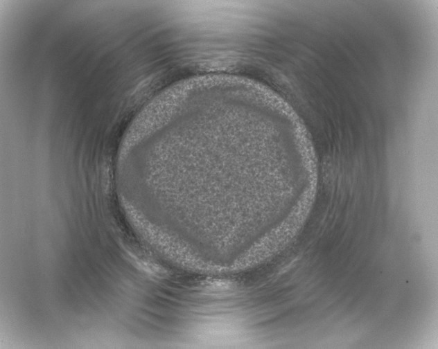 X0000065260741200603172230