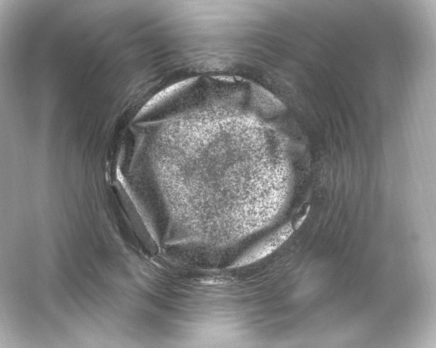 X0000065260743200603172230