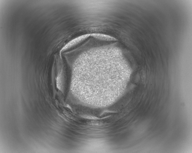 X0000065260746200603172230