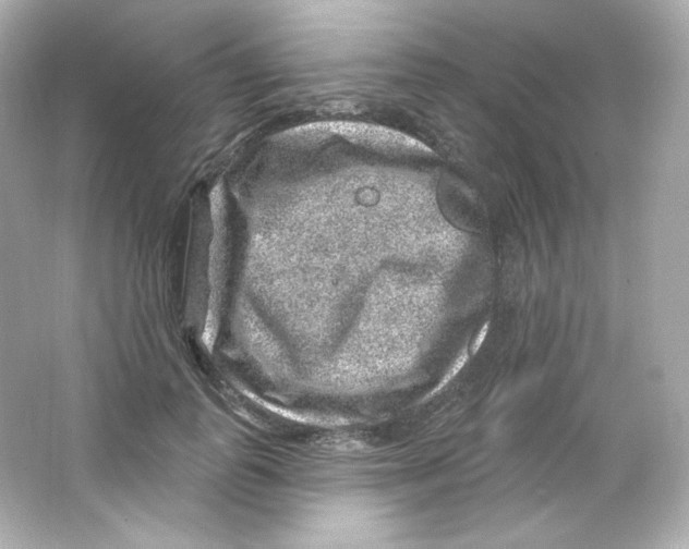 X0000065260747200603172230