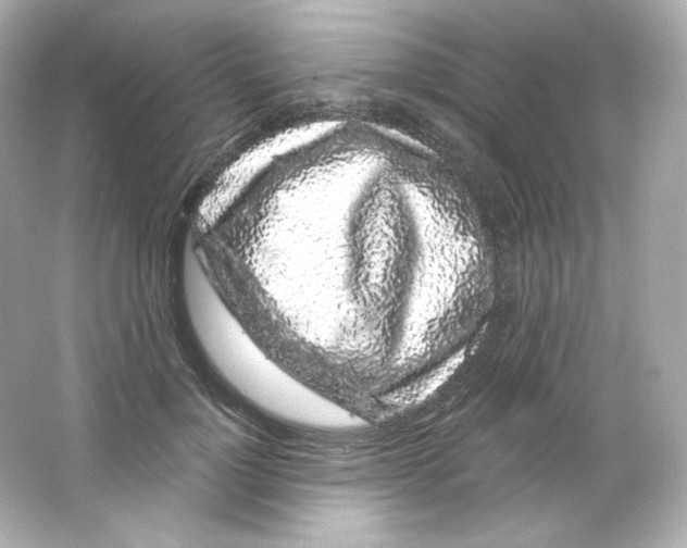 X0000065260748200603172230