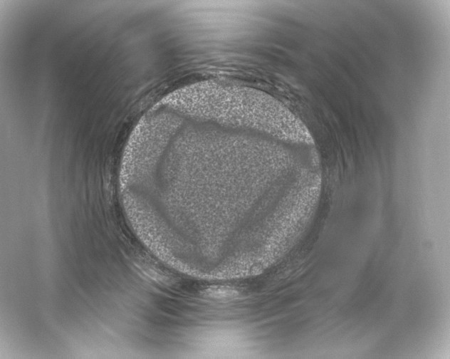 X0000065260749200603172230