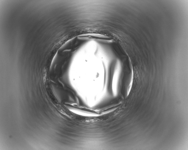 X0000065260752200603172230