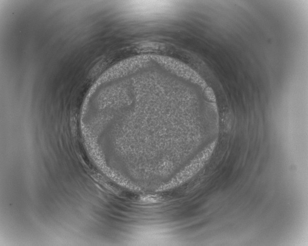 X0000065260753200603172230